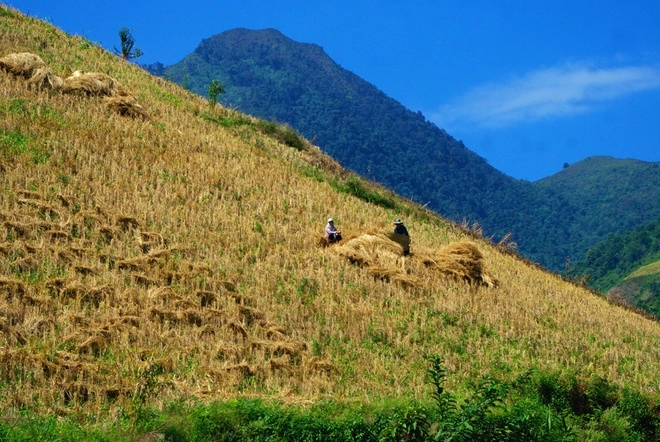 Vùng đất biệt lập chiềng ân chuyển màu lúa chín - 7