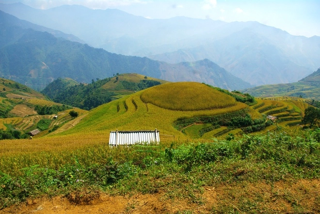 Vùng đất biệt lập chiềng ân chuyển màu lúa chín - 9