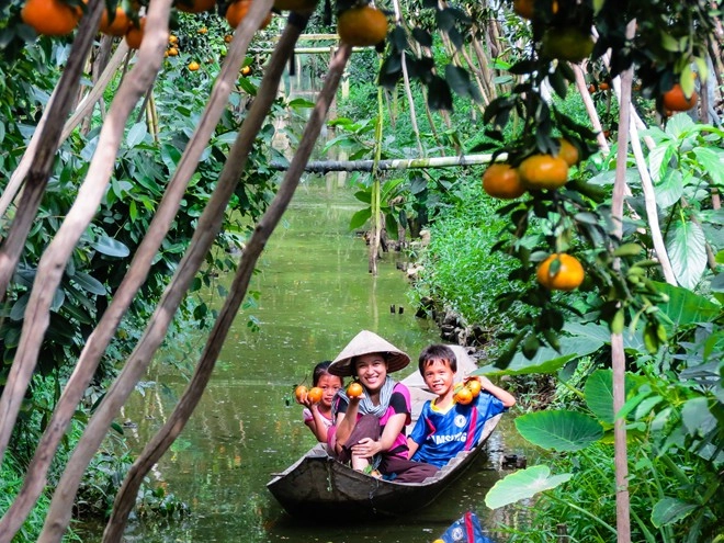 Vương quốc quýt hồng lai vung khiến giới trẻ hào hứng trảy quả - 10