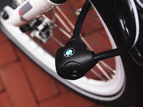 Xe đạp bmw cruise e-bike giá gần 4000 usd - 11