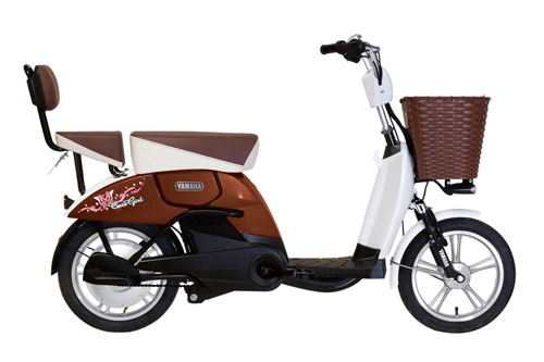 Xe đạp điện yamaha - thương hiệu được tin dùng tại việt nam - 5
