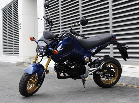 Yamaha honda hướng đến dòng môtô thể thao cỡ nhỏ - 3
