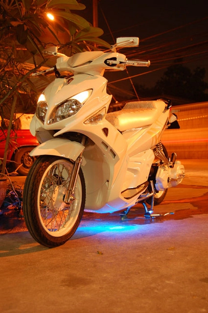 Yamaha nouvo lx bạch tạng - 3