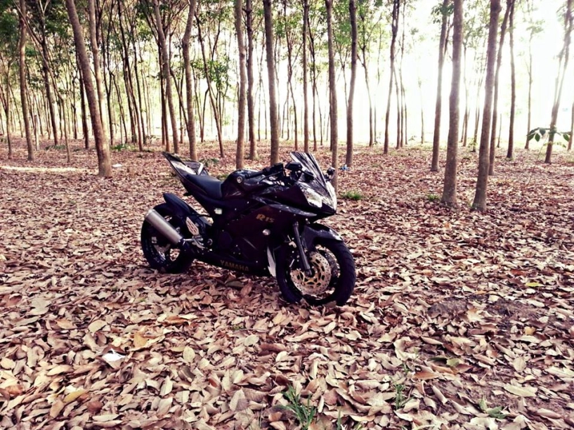 Yamaha r15 nét đẹp của một chiếc sportbike cỡ nhỏ - 5