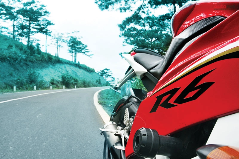 Yamaha yzf r6 - khi yêu ngựa bất kham - 8