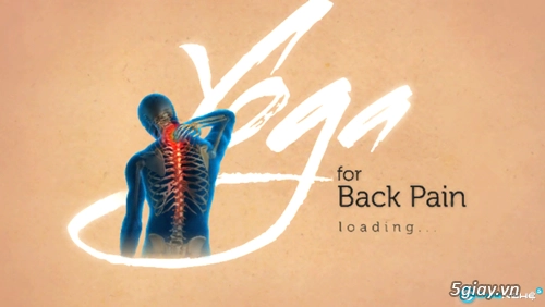 Yoga for back pain phòng chống đau lưng nhờ yoga - 2