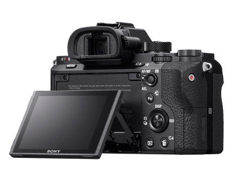 Ảnh chính thức sony a7r ii - 4