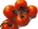 Bảo quản cà chua - 1