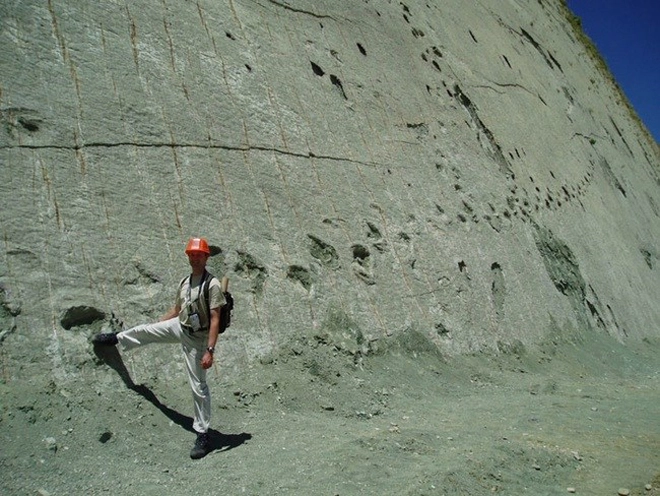 Bức tường đá in dấu 5000 vết chân khủng long - 7