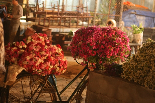 Buổi sớm trong chợ hoa đêm hà nội - 2