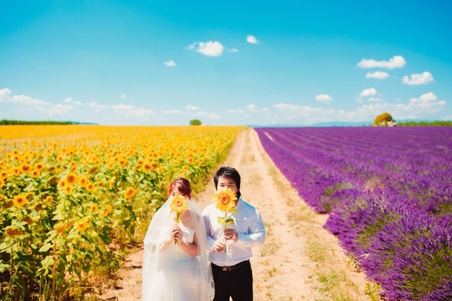 Cánh đồng oải hương trong bộ ảnh cưới của cặp đôi việt - 5