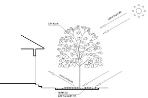 Chắn nắng cho nhà hướng tây - 4