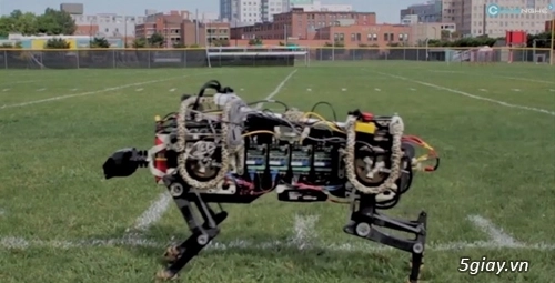 Chế tạo thành công robot báo đốm ghê-pa - 1