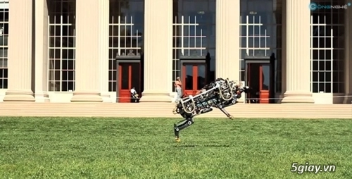 Chế tạo thành công robot báo đốm ghê-pa - 2