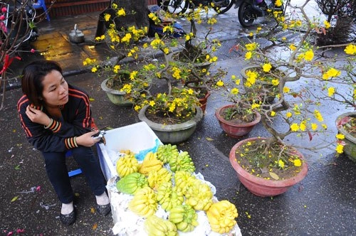 Chợ hoa xuân phố cổ hà nội - 5