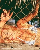 Diễn viên - người mẫu camille anderson - 2