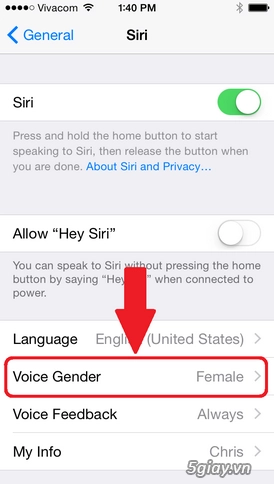 Đổi giọng siri từ nữ sang nam trên iphone - 6