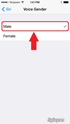 Đổi giọng siri từ nữ sang nam trên iphone - 7