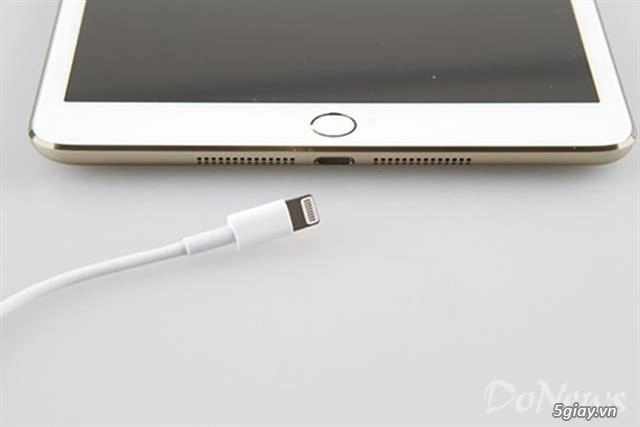 Dòng ipad mini cũng có phiên bản vàng như điện thoại iphone 5s - 2