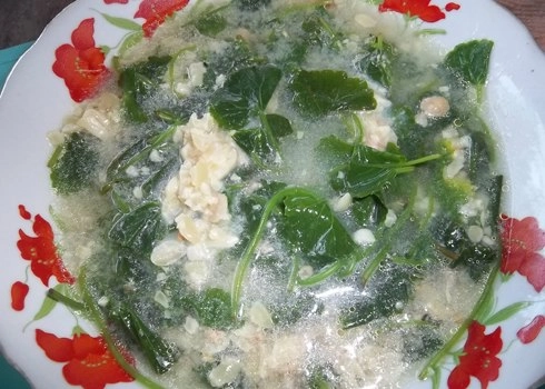 Giải nhiệt với canh rau má - 4