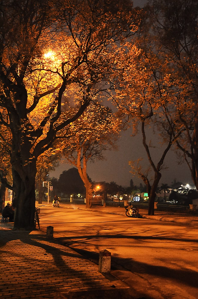 Hà nội yên bình và tĩnh lặng về đêm - 3