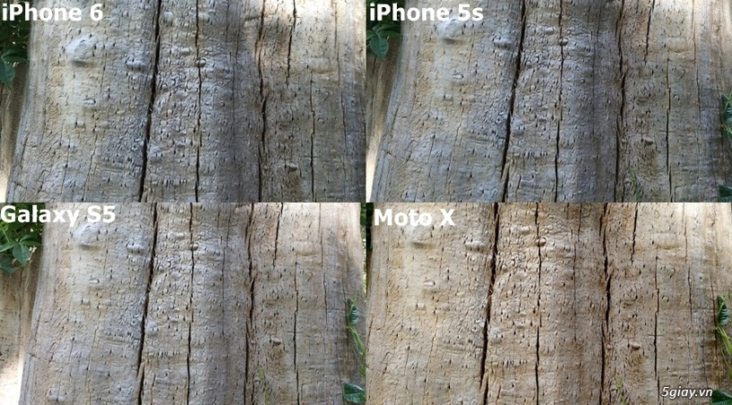Iphone 6 cho chất lượng hình ảnh thật nhất - 3