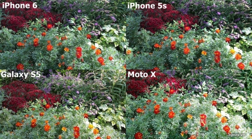 Iphone 6 đứng đầu cho chất lượng ảnh - 4