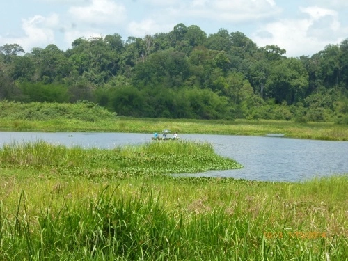 Kham pha thiên nhiên ơ khu ramsar thứ hai của việt nam - 4