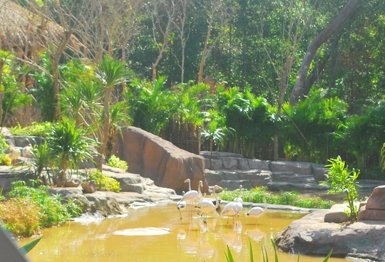 Khám phá vườn thú bán hoang dã đầu tiên và duy nhất tại việt nam - 7