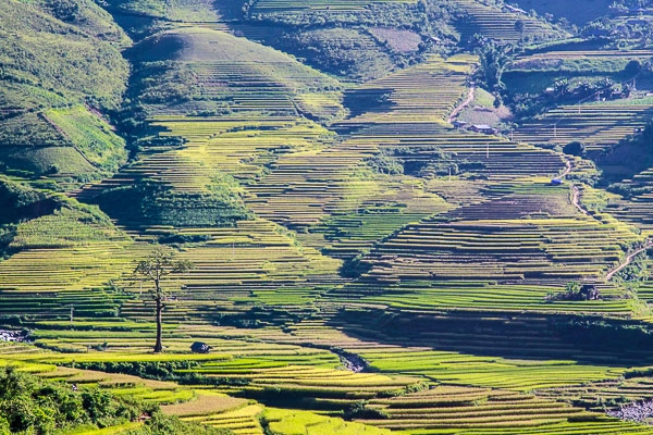 Khau phạ - hoàng hồn đẹp không thốt nên lời - 10