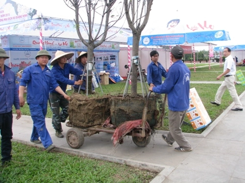 Lễ hội hoa anh đào hạ long - 2