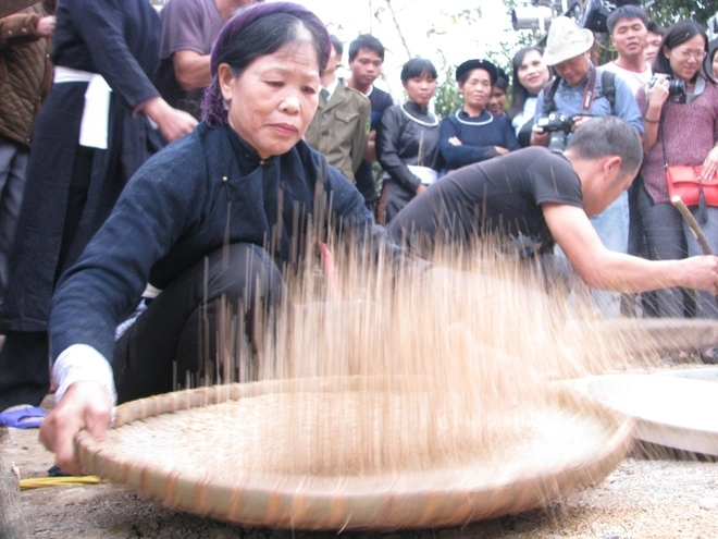 Lễ hội hoa sở lần đầu tiên ở quảng ninh - 7