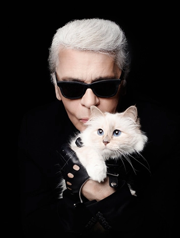 Mèo choupette của karl lagerfeld kiếm tiền giỏi như siêu mẫu - 2