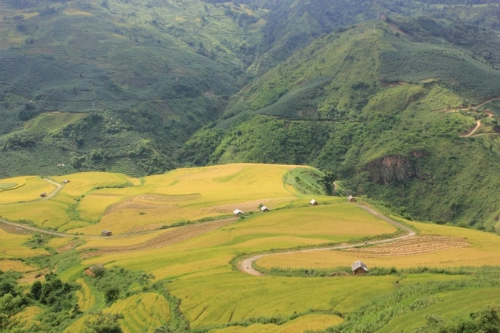 Nam thanh niên tử vong trên đường phượt y tý - 1