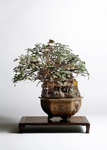Ngắm bonsai độc đáo đến từ nhật bản - 7