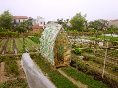 Ngôi nhà ươm rau làm từ tre chai nhựa - 1