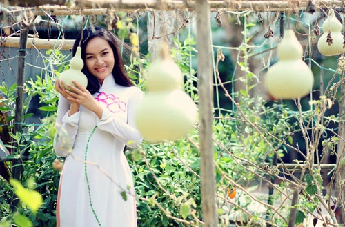 Người đẹp du lịch dịu dàng giữa cánh đồng sen - 6