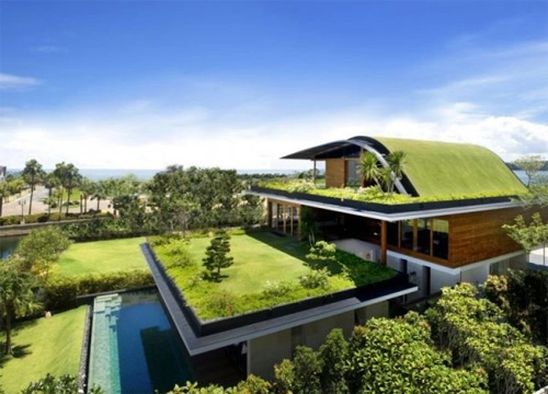 Nhà mái cỏ việt nam trong top 20 nhà mái xanh độc đáo - 5