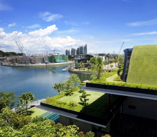 Nhà mái cỏ việt nam trong top 20 nhà mái xanh độc đáo - 6