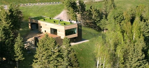 Nhà mái cỏ việt nam trong top 20 nhà mái xanh độc đáo - 8