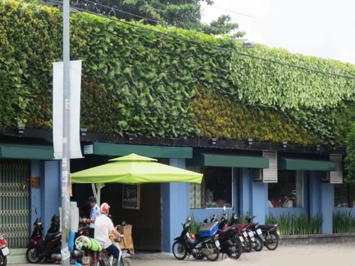 Nhà mát rượi nhờ mảng tường cây xanh - 6