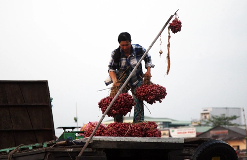 Nhộn nhịp chợ nổi cái răng - 3