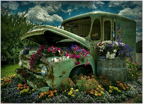 Những chiếc xe hoa ấn tượng trong vườn - 8