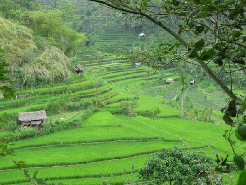 Những điểm đến nên tới một lần trong đời tại châu á - 4