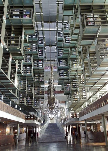 Những thư viện độc đáo nhất thế giới - 3