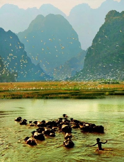 Ninh binh - điêm đên thú vị cho mua he - 2