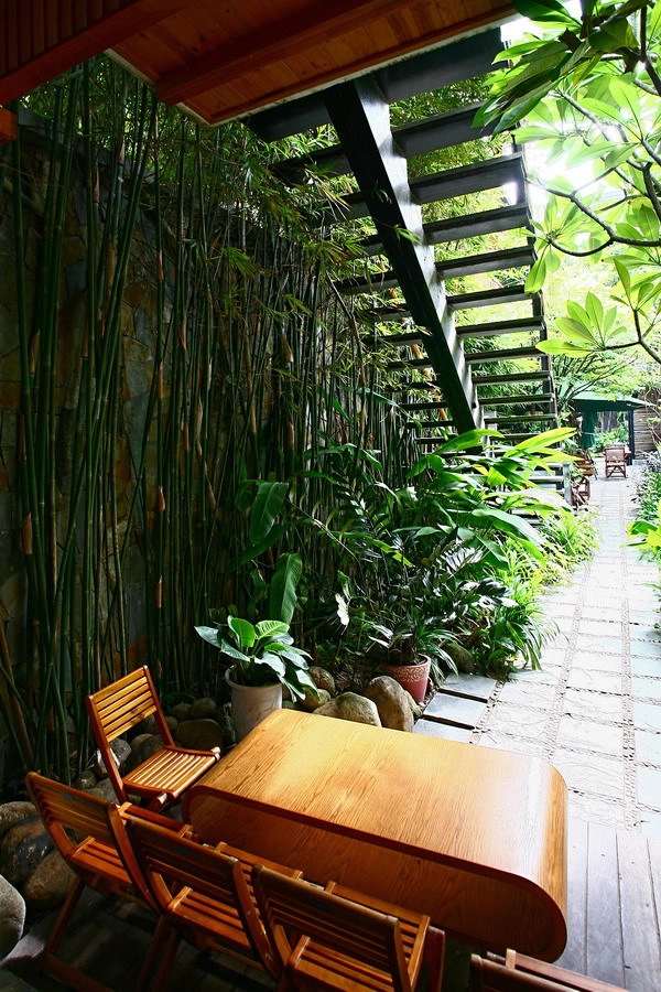 Quán cà phê hút khách bởi cây xanh và hồ cá ở đà nẵng - 7