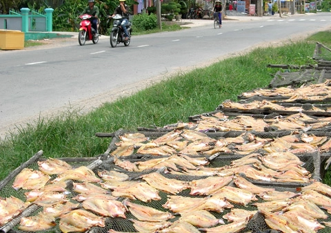 Sản vật mùa lũ miền tây - 6