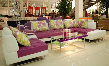 Sofa nhiều màu sắc - 2