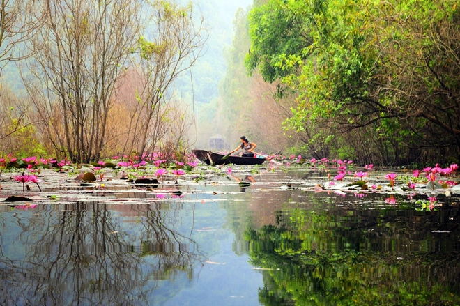 Suối yến mùa nước nở hoa - 8
